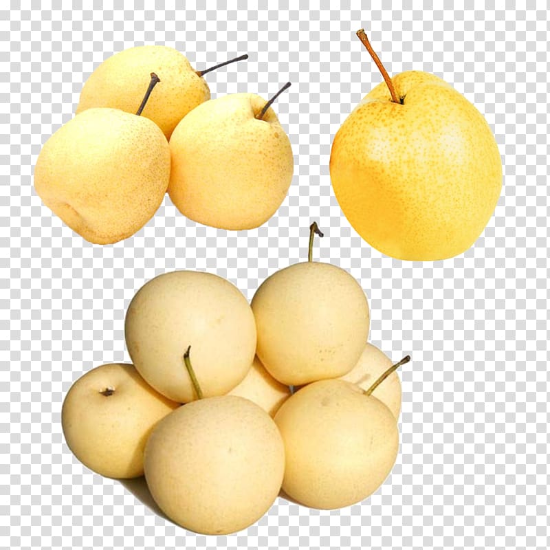 China Pyrus nivalis Pyrus xd7 bretschneideri Fruit Food, Crown Pear transparent background PNG clipart